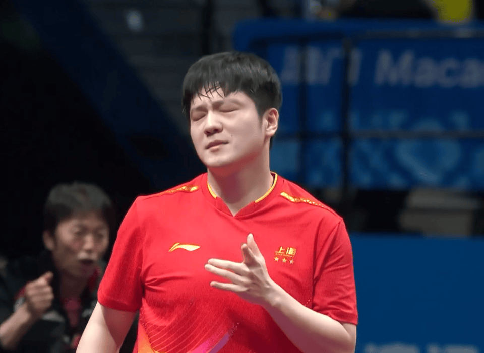 开云体育视频直播-葡萄牙队逆转韩国队，樊振东刷新纪录